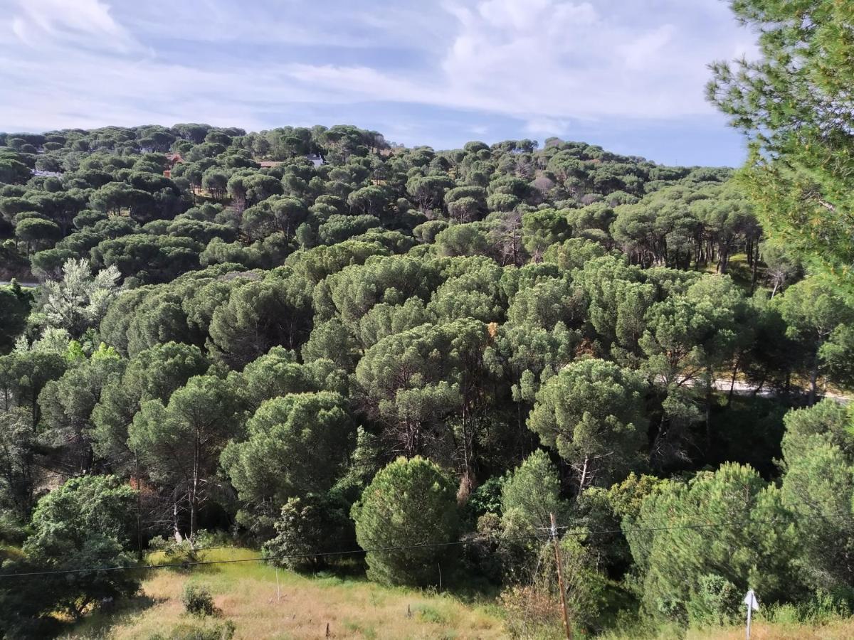 El Mirador De Bacha Leilighet San Martín de Valdeiglesias Eksteriør bilde