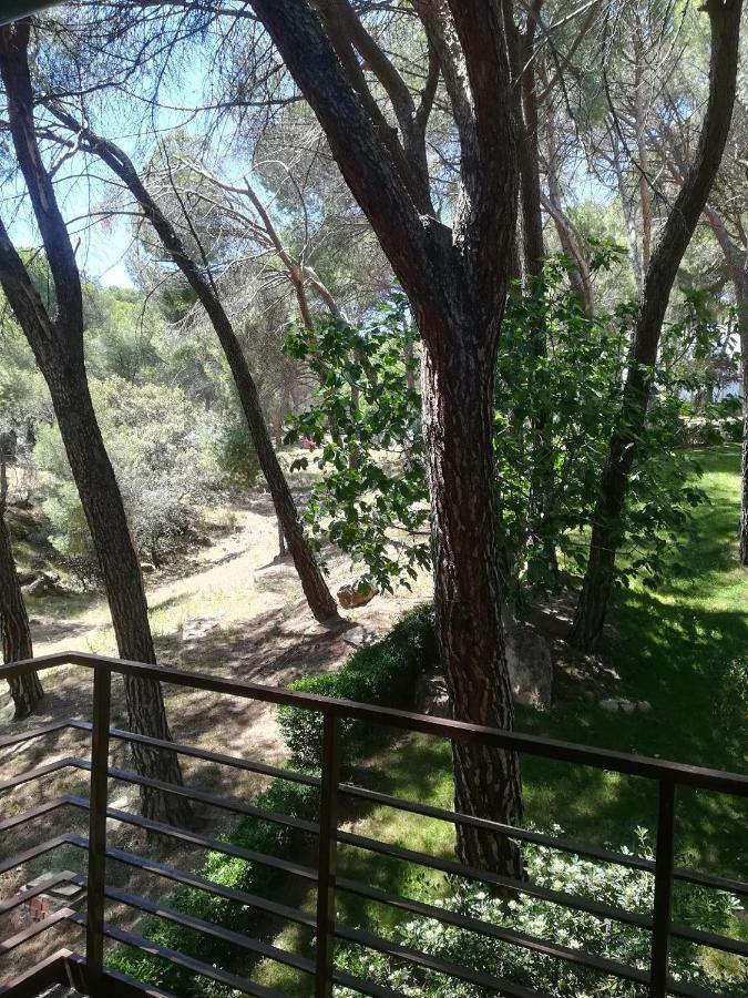 El Mirador De Bacha Leilighet San Martín de Valdeiglesias Eksteriør bilde